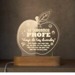 Lámpara LED Personalizada Te Queremos Profe